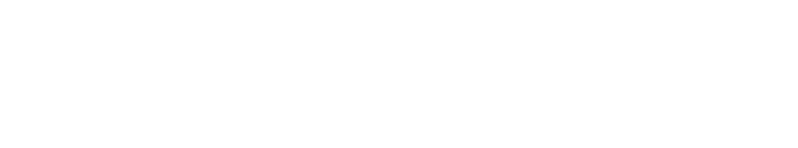 KNIGHT AU Express